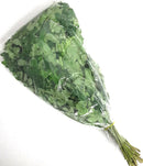 Drumstick Leaves