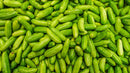 Tindoori