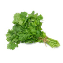 Fresh Coriander