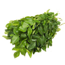 Curry Leaves (Bunch)